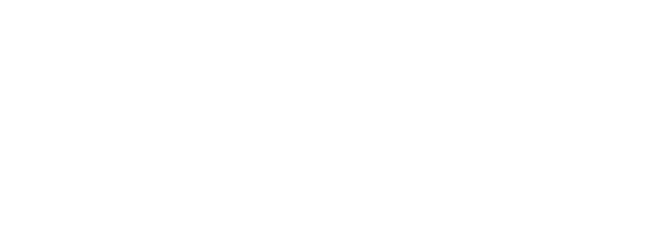 Snellman Group