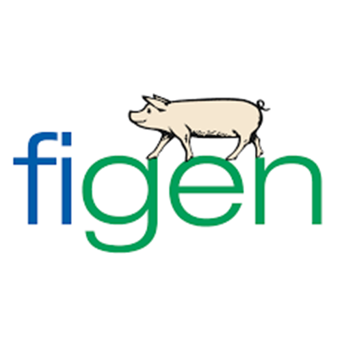 companies-logo-500×500-figen companies-logo-500×500-figen