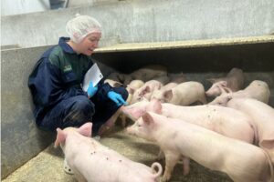 tove-donner-1 tove-donner-1